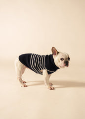 PARISIAN PUP Glowline Sweater (NAVY / GLOW)