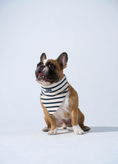 PARISIAN PUP Bandana (ECRU / NAVY)