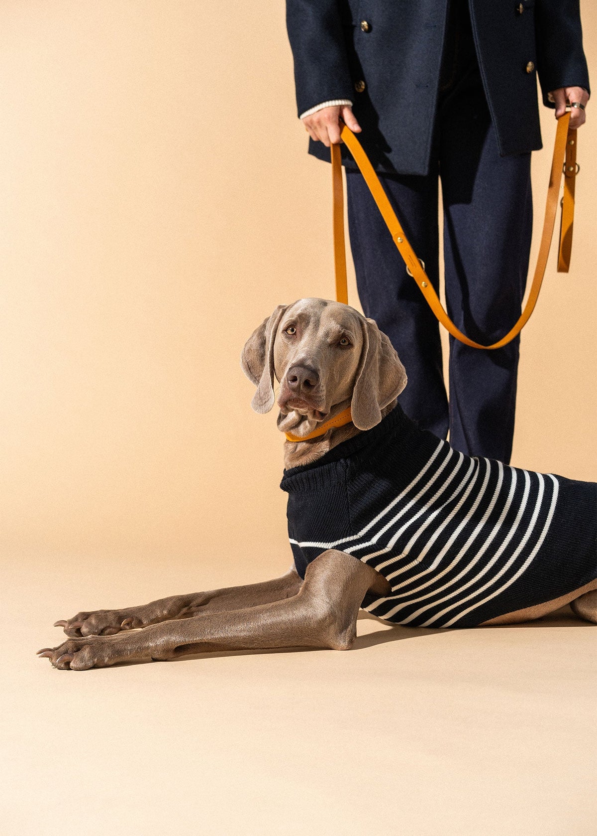 PARISIAN PUP Sweater (NAVY / IVORY)
