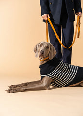 PARISIAN PUP Sweater (NAVY / IVORY)