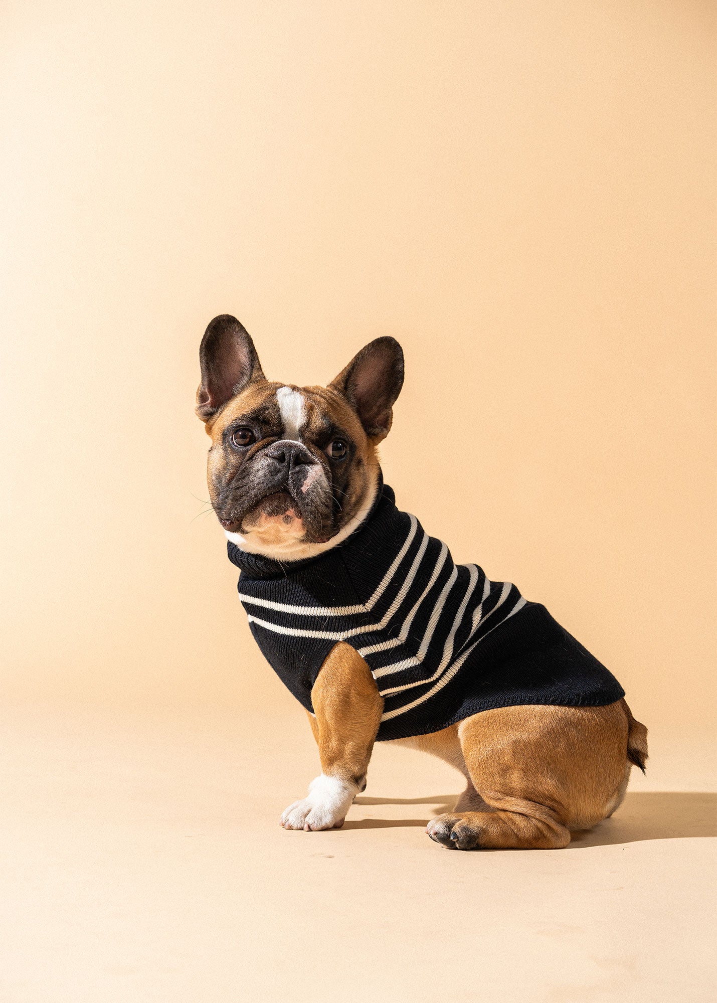 PARISIAN PUP Sweater (NAVY / IVORY)