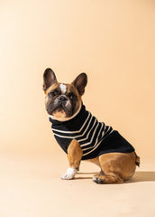 PARISIAN PUP Sweater (NAVY / IVORY)