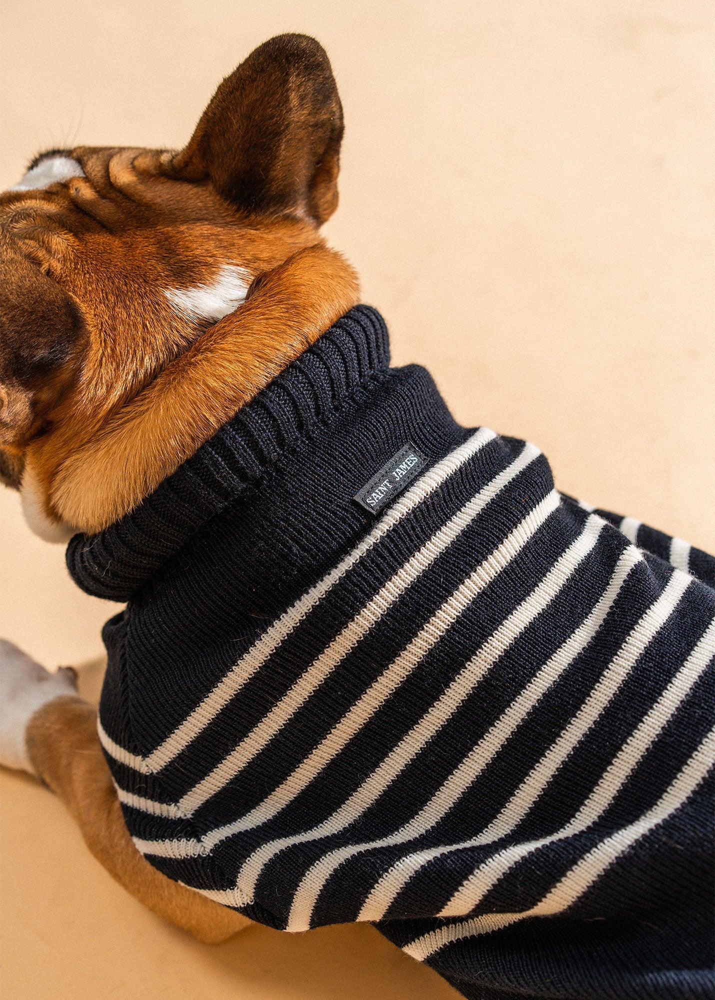 PARISIAN PUP Sweater (NAVY / IVORY)