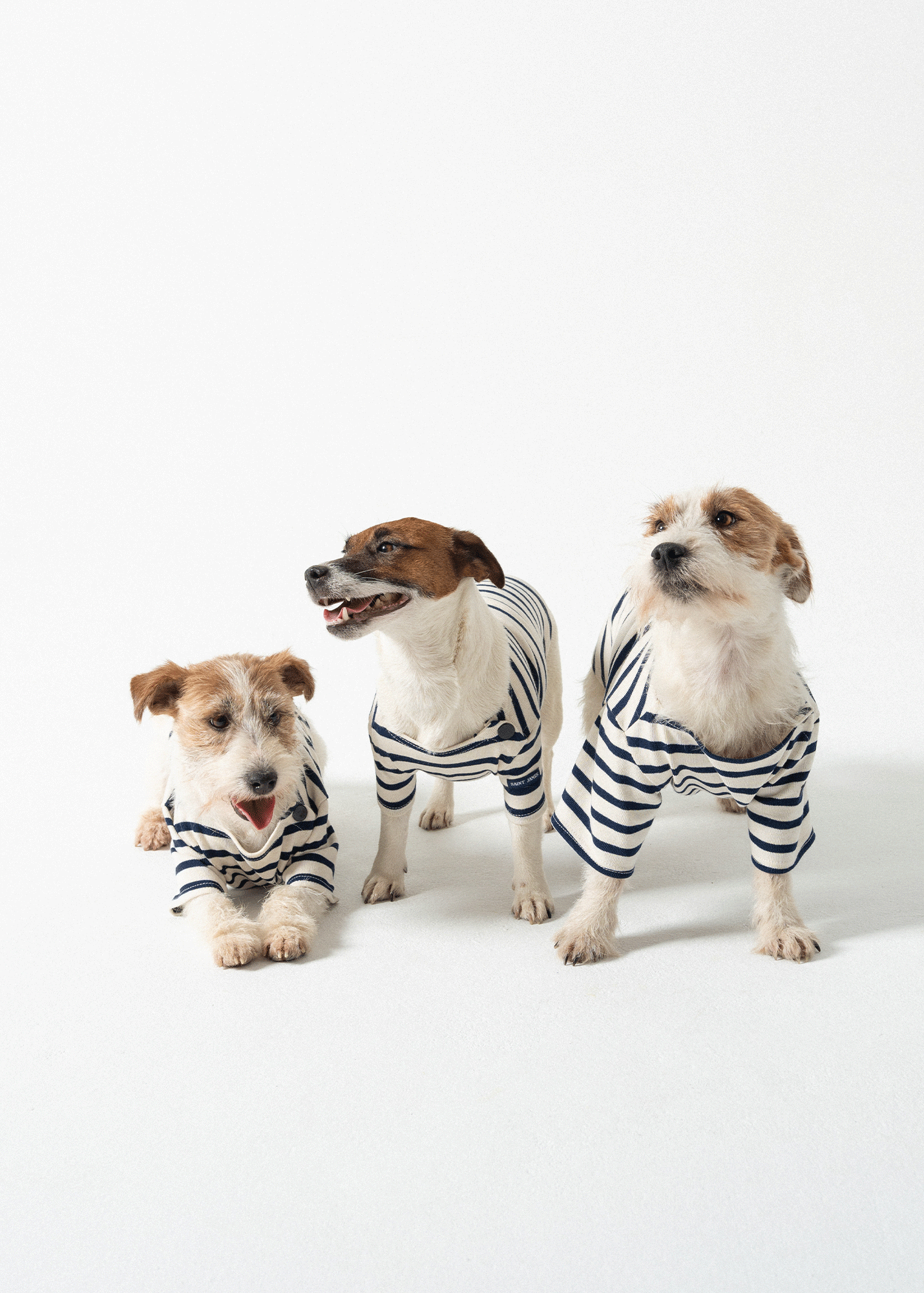 PARISIAN PUP Shirt (ECRU / NAVY)