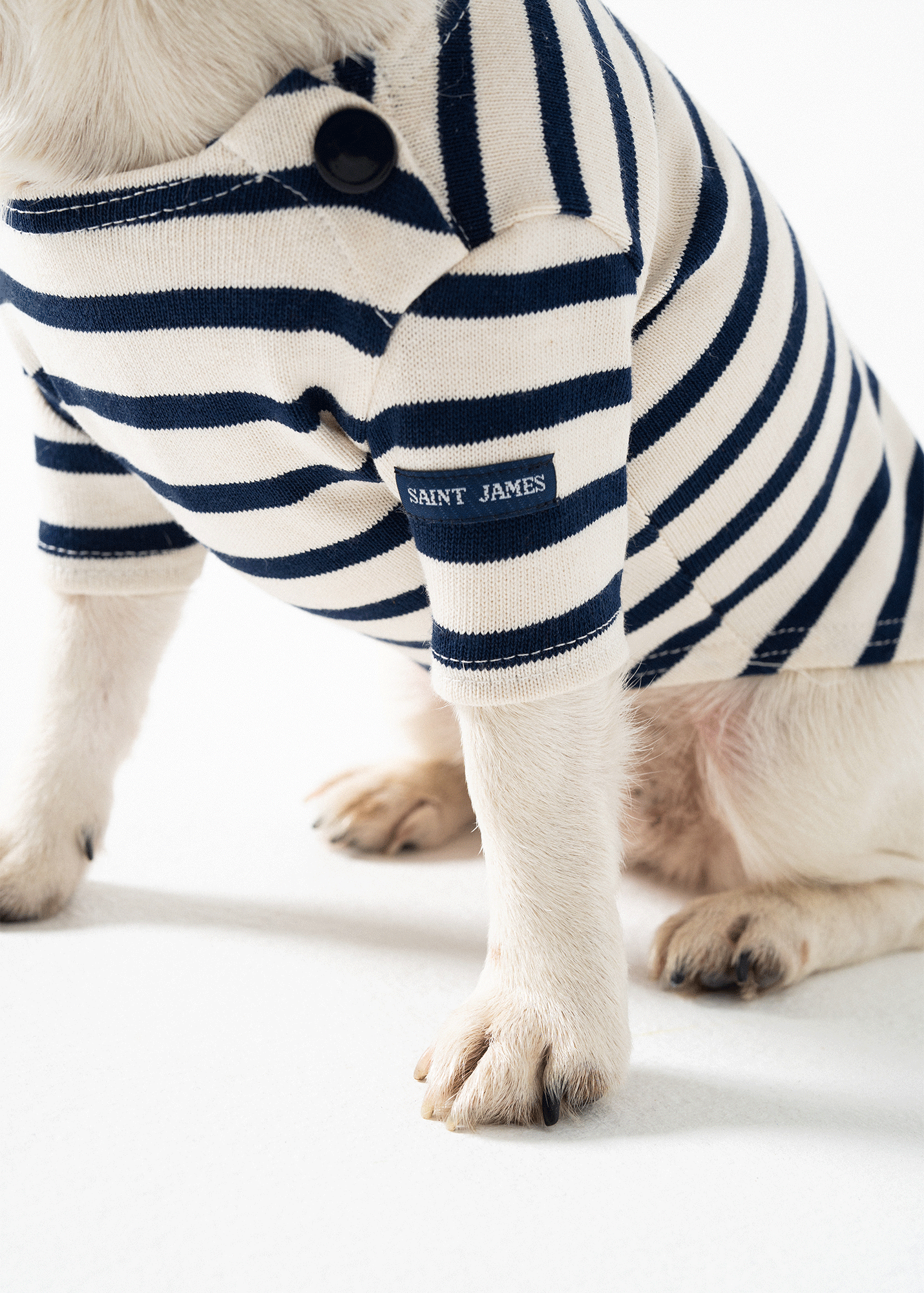 PARISIAN PUP Shirt (ECRU / NAVY)