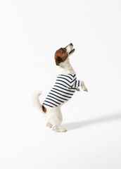 PARISIAN PUP Shirt (ECRU / NAVY)