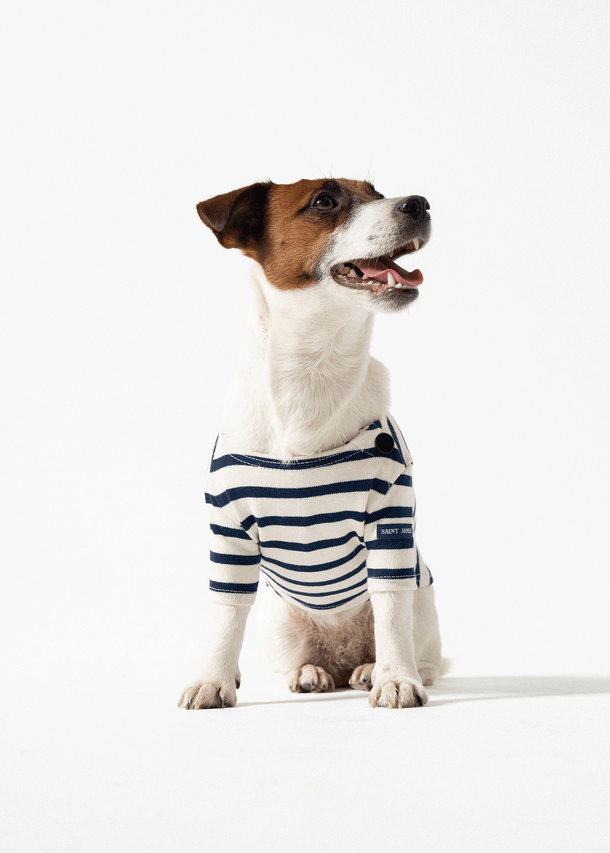 PARISIAN PUP Shirt (ECRU / NAVY)