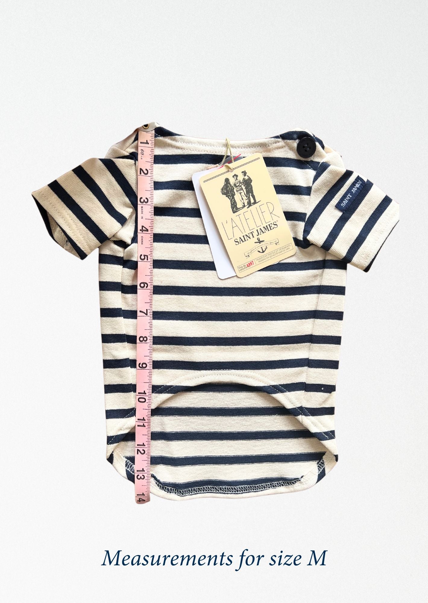 PARISIAN PUP Shirt (ECRU / NAVY)