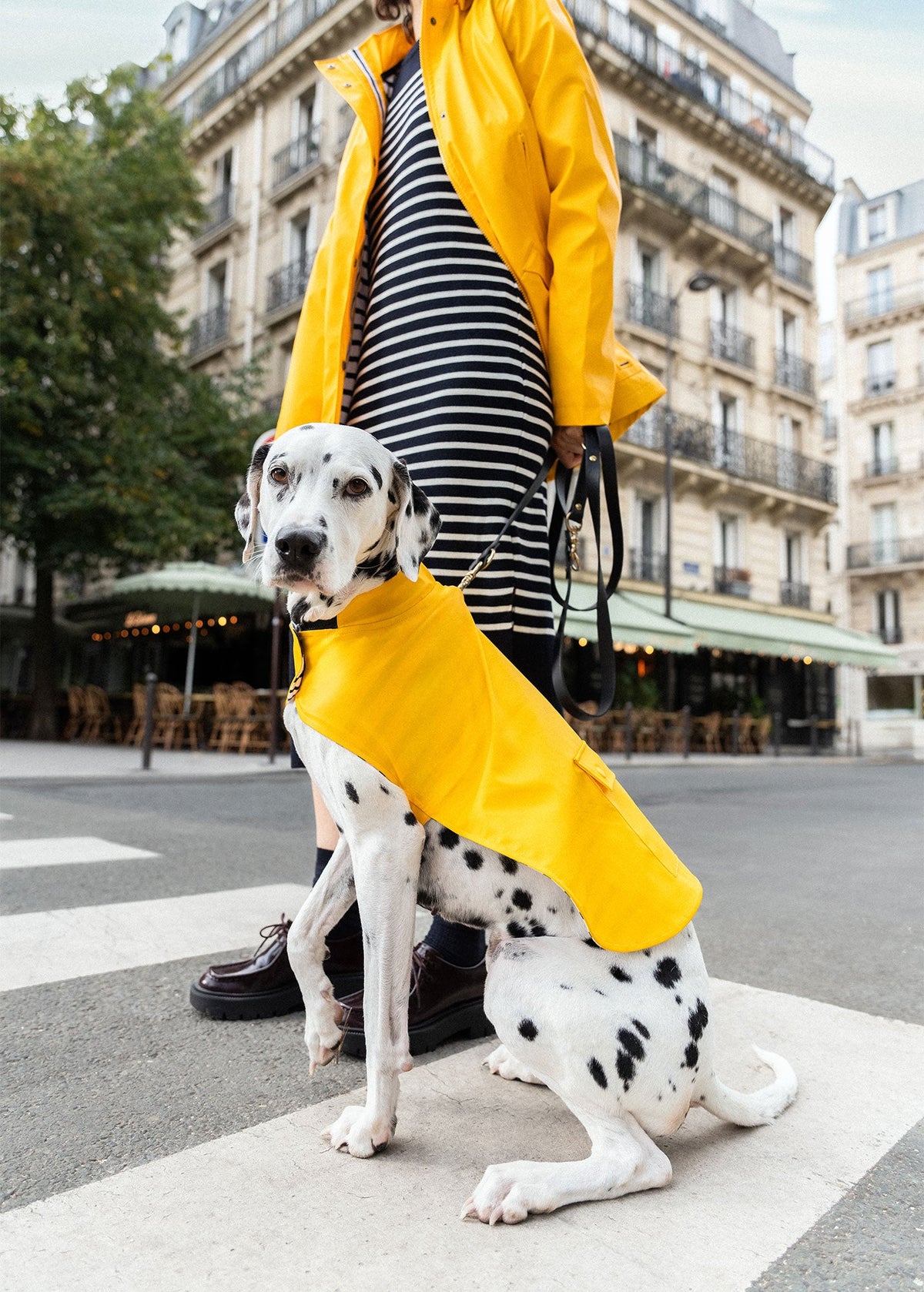 PARISIAN PUP Raincoat (YELLOW)