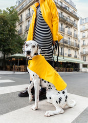 PARISIAN PUP Raincoat (YELLOW)