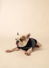 PARISIAN PUP Glowline Sweater (NAVY / GLOW)