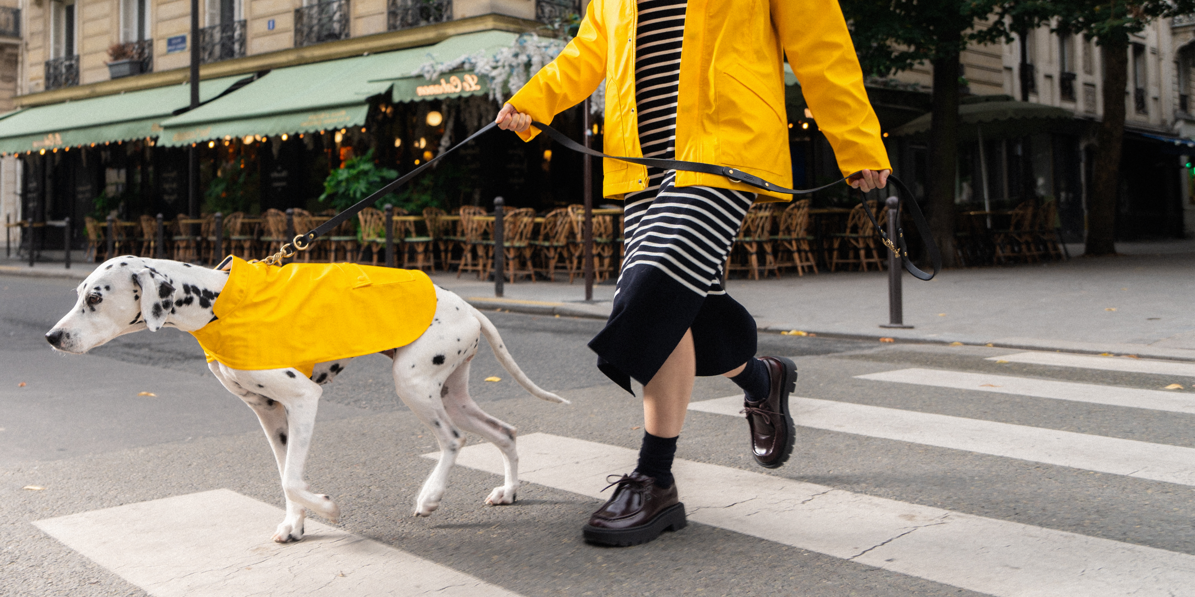 PARISIAN PUP Raincoat (YELLOW)